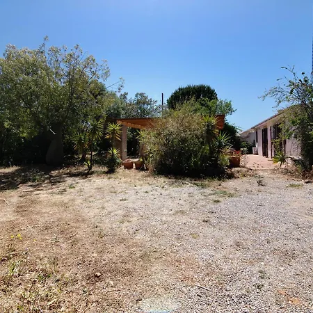 Fontenoy Tavira