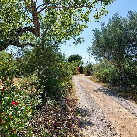 Fontenoy Tavira